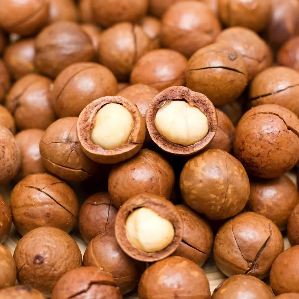 껍질 있는 생 마카다미아 500g